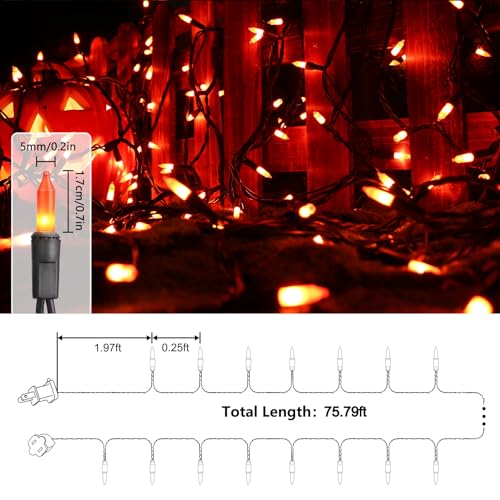 Orange Halloween Lights (75 Foot)