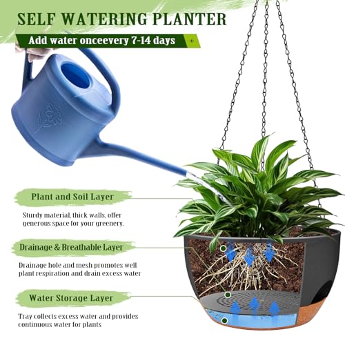Self Watering Hanging Planters 2 Pack (2 Count)