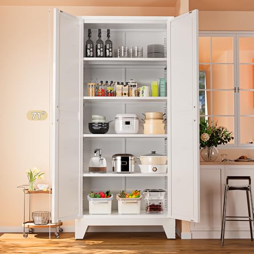71'' Farmhouse Metal Storage Cabinet with Barn Doors
