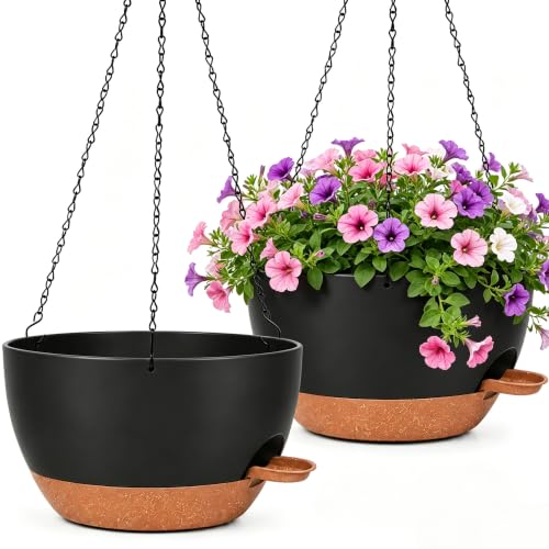12" Self Watering Hanging Planters with Chains (2 Count)