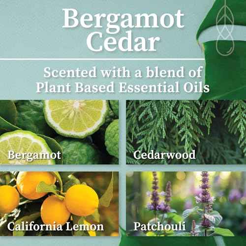Bergamot Cedar Amber & Gold Crackling Wood Wick Candle