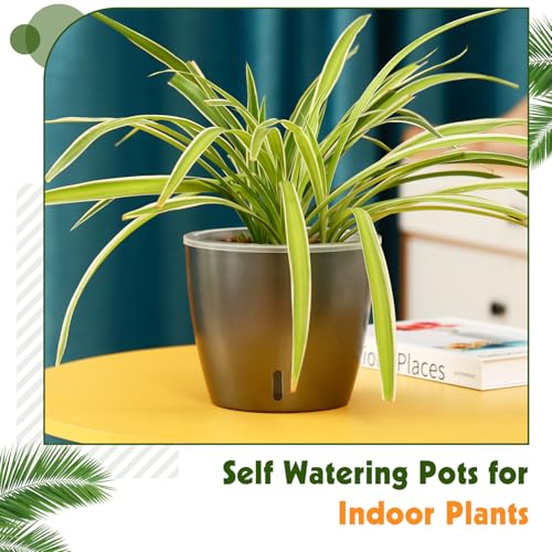 Self Watering Pots for Indoor Plants