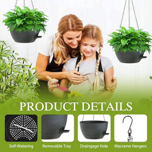 12 Inch Hanging Baskets 2 PC with Chains (2 Count)