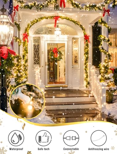 Clear Christmas Lights (13 Foot)