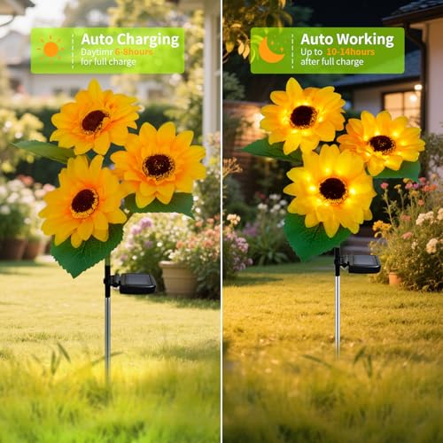 Outdoor Solar Garden Stake Lights