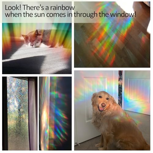 Window Privacy Film