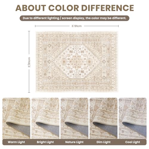 2x3 Rug Non Slip