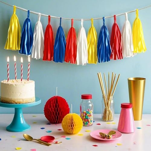 Tissue Paper Tassel Garland Banner (20 Count)