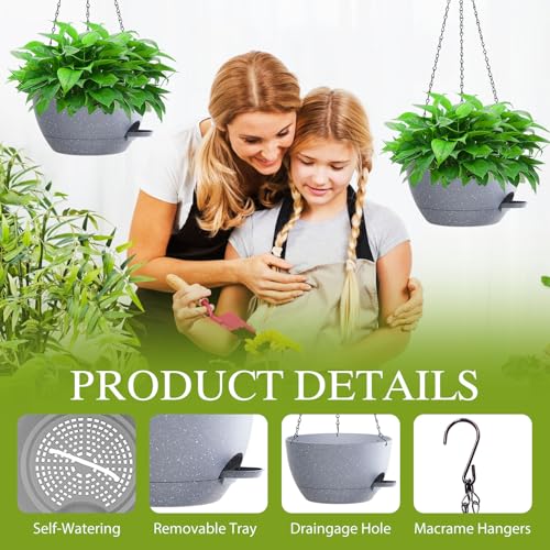 12 Inch Hanging Baskets 2 PC with Chains (2 Count)