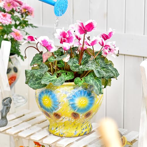 9 Inch Hand Painted Ceramic Succulent Plant Pots