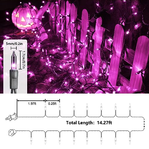 Purple Halloween Lights (12.5 Foot)