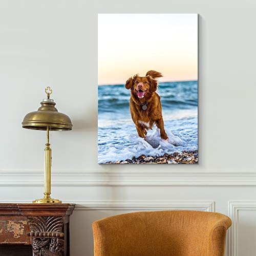 Custom Canvas Prints with Your Photos for Pet