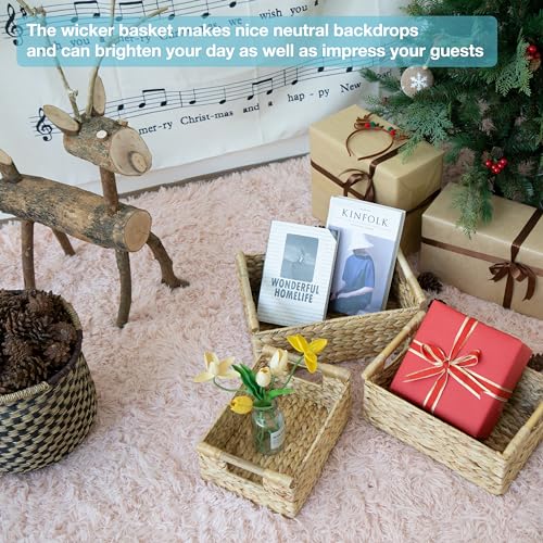 Hyacinth Wicker Basket Set 3 size (3 Count)