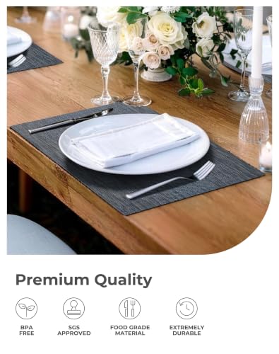 Denim Blue Placemats Set of 6 (6 Count)
