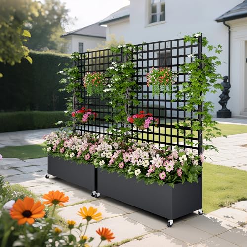 Metal Planter Box with Trellis Privacy Screen