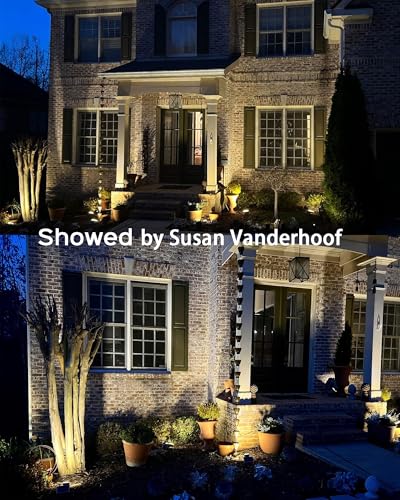 Solar Lights Outdoor Waterproof (8 Count)