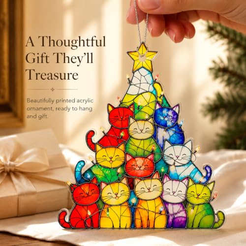 Funny Christmas Ornaments 2026