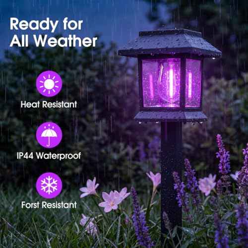 Solar Lights Outdoor