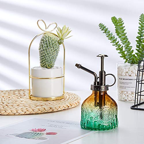 Glass Plant Mister Spray Bottle