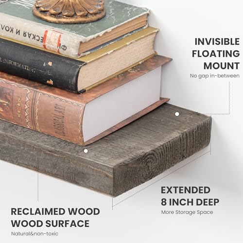 Floating Shelves (2 Count)