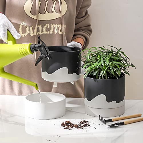 Ceramic Self Watering Plant Pot for Indoor Plants