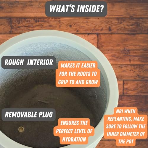 Large Planter for Indoor or Outdoor