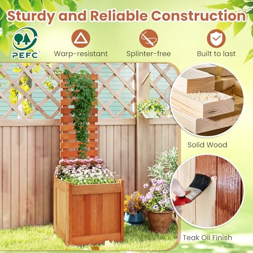 Raised Garden Bed with Trellis & Open