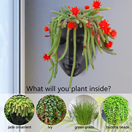 6.7" Tall Hanging Planter Wall Flower Pot for Garden Balcony Indoor or Outdoor