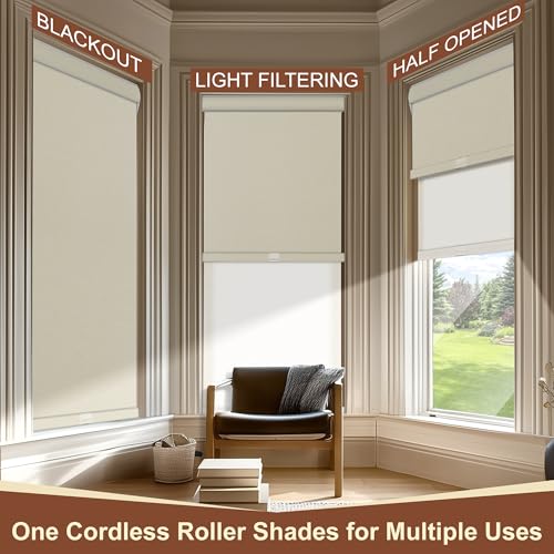 Cordless Dual Roller Shades.Striped Jacquard Beige.52 W x 44" H