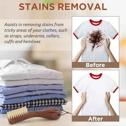 Laundry Stain Brush 2pcs (2 Count)