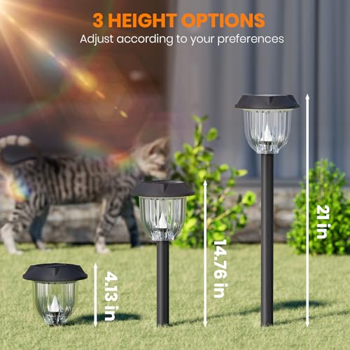 Solar Lights Outdoor (6 Count)
