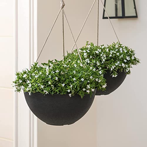 Large Hanging Planters for Outdoor Plants (2 Count)