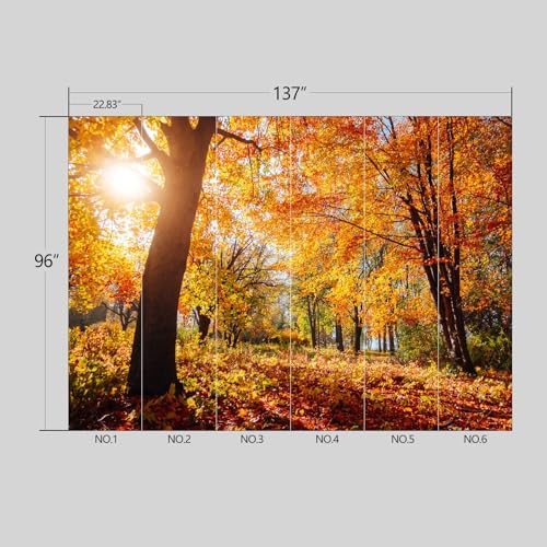 Golden Autumn Sunlit Forest wall Mural Peel and Stick Wallpaper for Bedroom Living Room