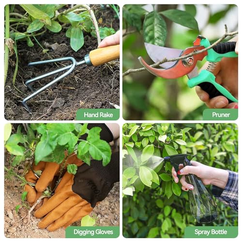9 Piece Gardening Tools Set with Fashion Handbag (9 Count)
