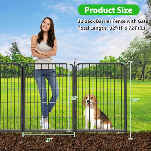 Decorative Black Metal Fencing Garden Fence with Gate