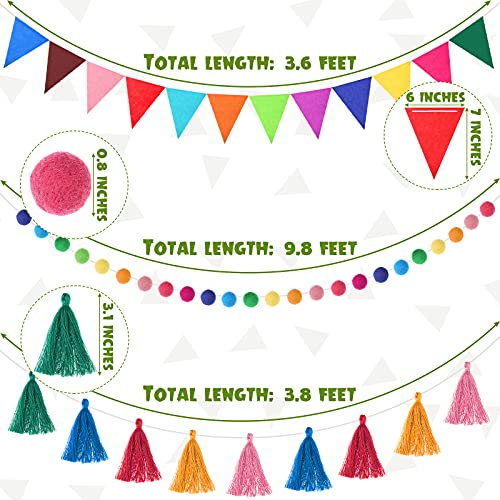 4 Pcs 9.8 ft Pom Pom Garland for Classroom Bulletin Board (4 Count)