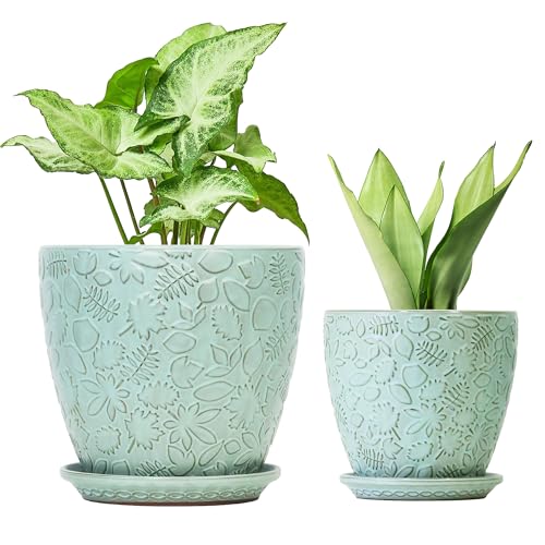 8 Inch + 6 Inch Plant Pots for Indoor Plants (2 Count)