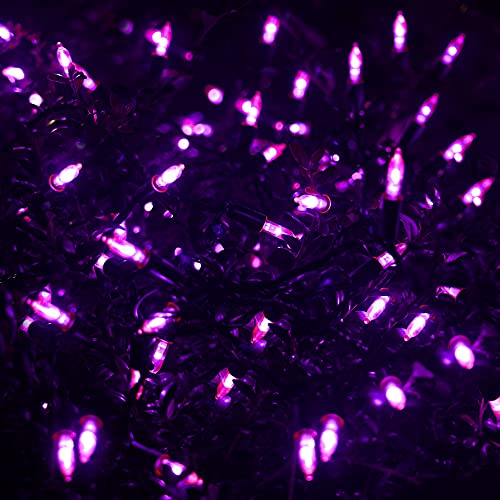 50 LED Outdoor Halloween Lights (16 Foot)