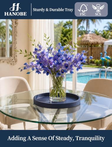 Navy Blue Round Decorative Trays for Coastal Coffee Table Decor