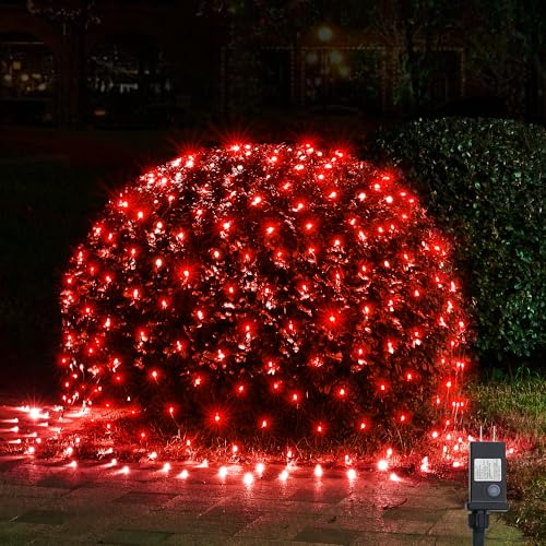 Christmas Lights