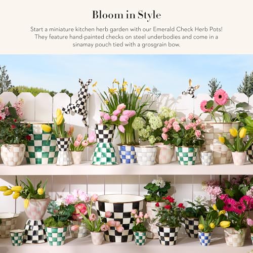 Enamel Herb Pot Set (3 Count)