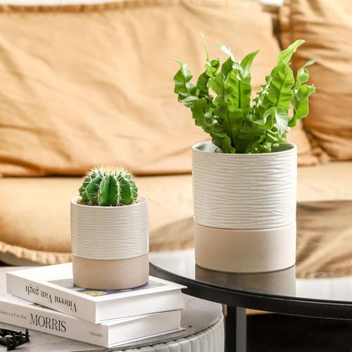 Ceramic Self Watering Plant Pot for Indoor Plants