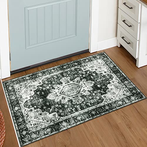 Washable 2x3 Entryway Rug Small Front Door Mat (6 Sq Ft)