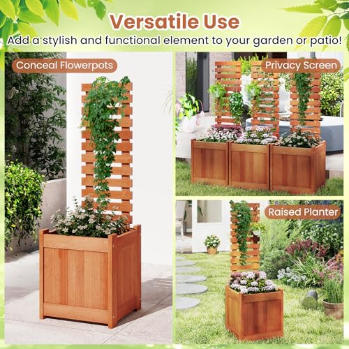 Raised Garden Bed with Trellis & Open