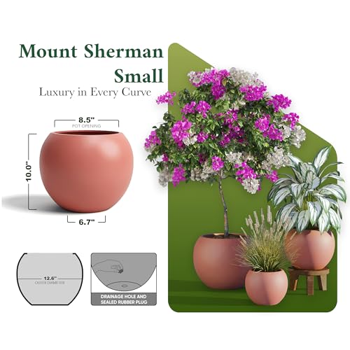 Premium Mt Sherman Fiberstone Sphere Planter for Indoor Outdoor Use