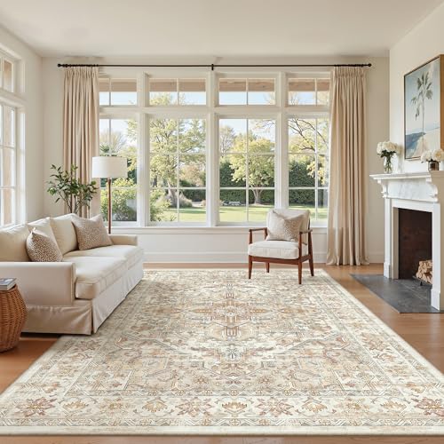 5x7 Area Rugs for Living Room