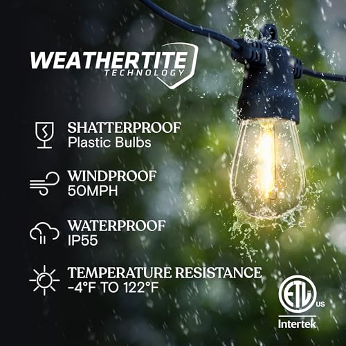Ambience Pro Solar Powered Outdoor String Lights (48 Foot)