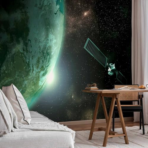 Wall Mural Wallpaper (5 Count)