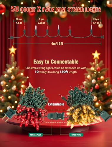 2 Pack Total 26 FT 100 Count Christmas Lights Indoor (26 Foot)