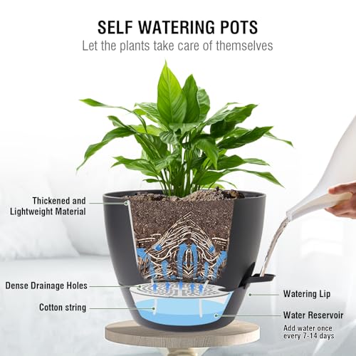 10 inch Self Watering Hanging Planters (2 Count)